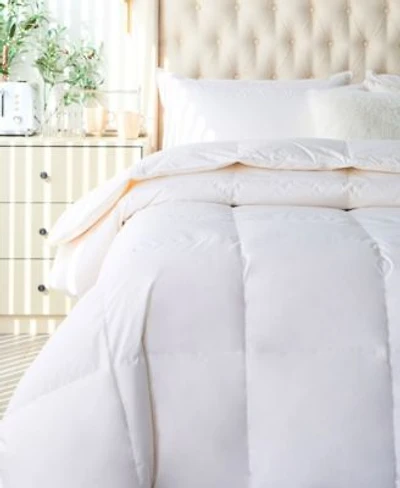 Royal Elite All Season Comforters