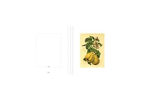 Instant Wall Art Vibrant Botanical Prints- 45 Ready-to-Frame Illustrations for Your Home Decor by Adams Media Corporation
