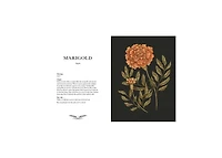 Floriography- An Illustrated Guide to the Victorian Language of Flowers by Jessica Roux