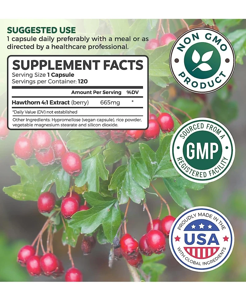 Healths Harmony Hawthorn Berry Capsules, Cardiovascular and Immune Health, 4:1 Extract, Health's Harmony, 120ct
