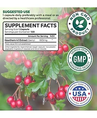 Healths Harmony Hawthorn Berry Capsules, Cardiovascular and Immune Health, 4:1 Extract, Health's Harmony, 120ct
