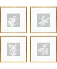 Echinacea Framed Art, Set of 4