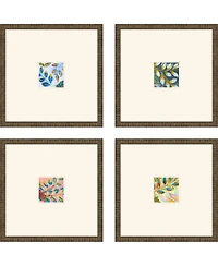 Botanical Iii Framed Art, Set of 4