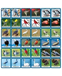MasterPieces Licensed Audubon Matching Game for Kids and Families