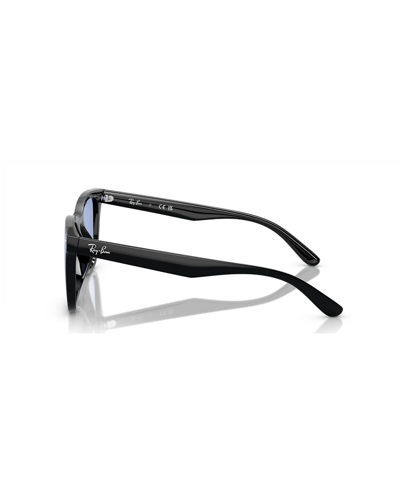 Ray-Ban Unisex Sunglasses RB4420