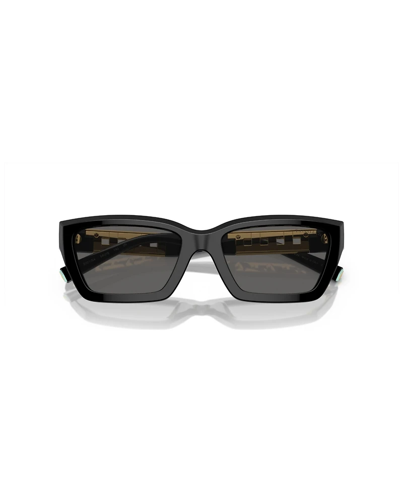 Tiffany & Co. Women's Sunglasses TF4213