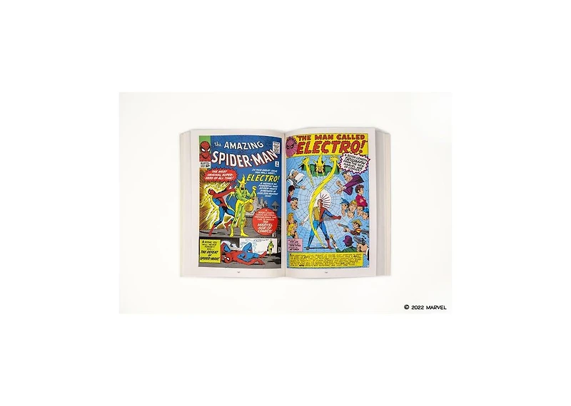The Amazing Spider-Man by Stan Lee