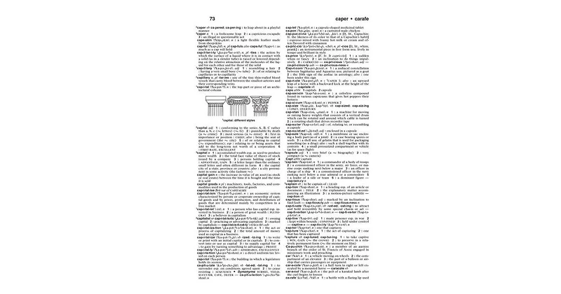 The Merriam-Webster Dictionary by Merriam-Webster