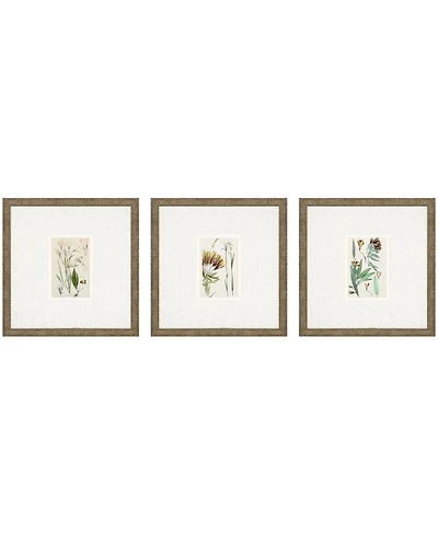 Antique-Like Botanical I Framed Art, Set of 3
