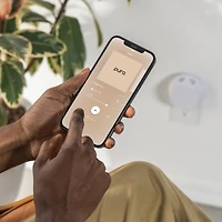 Pura and Archipelago - Lavande - Fragrance for Smart Home Air Diffusers - Room Freshener - Aromatherapy Scents for Bedrooms & Living Rooms