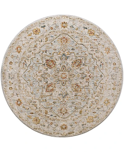Surya Reina Ren- 7'10" x 7'10" Round Area Rug