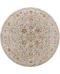 Surya Reina Ren- 7'10" x 7'10" Round Area Rug