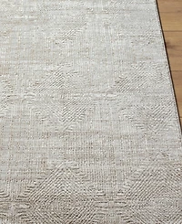 Livabliss Masterpiece High-Low Mpc-2312 2'8" x 3'11" Area Rug