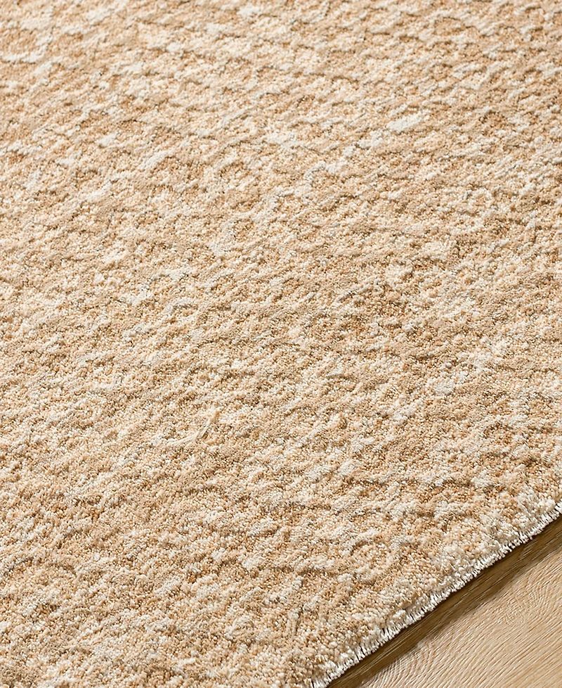 Livabliss Masterpiece High-Low Mpc-2302 5'3" x 5'3" Round Area Rug