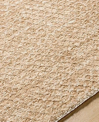 Livabliss Masterpiece High-Low Mpc-2302 5'3" x 5'3" Round Area Rug