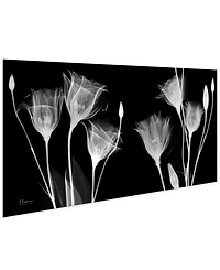 Empire Art Direct "Gentian X-Ray" Frameless Free Floating Tempered Glass Panel Graphic Wall Art, 24" x 48" x 0.2"