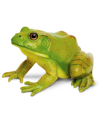 Safari Ltd American Bullfrog Incredible Creatures Figure