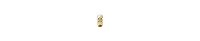 Pandora 14k Gold-Plated Unique Metal Blend Studded Fixed clips charm