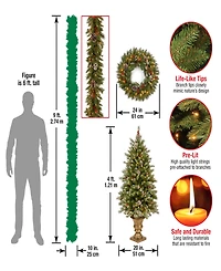 National Tree Company Frosted Berry Assortment- 2x 4' Entrance Trees with Clear Lights + 24" Wreath with Warm White Battery Operated Lights w/Timer +