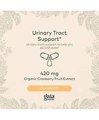 Gaia Herbs Cranberry Concentrate - Helps Maintain Urinary Tract Health - Made With Organic Cranberry Fruit Juice Extract in Convenient Capsules