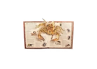 Bugs- A Stunning Pop-Up Look at Insects, Spiders, and Other Creepy-Crawlies by George McGavin