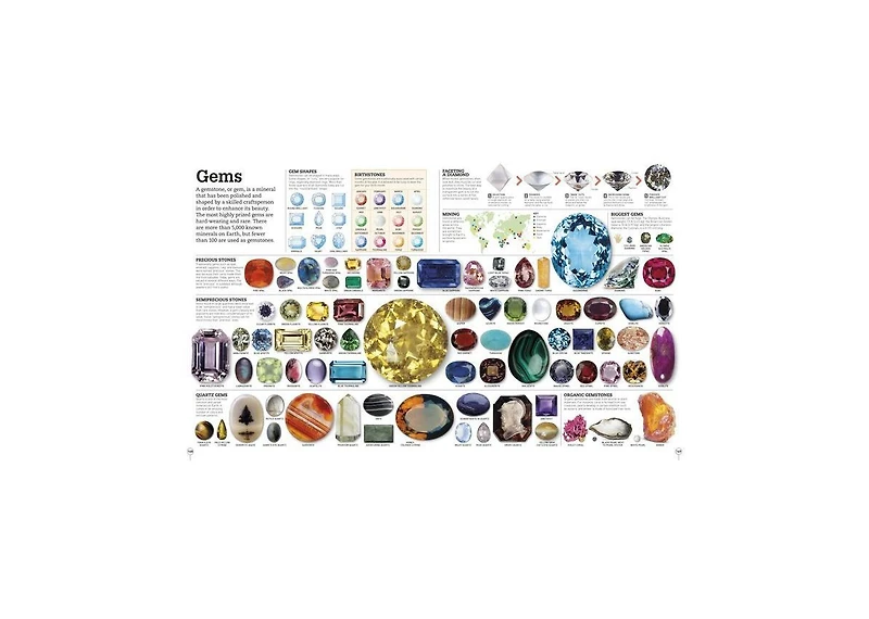 Picturepedia, Second Edition- An Encyclopedia on Every Page by Dk