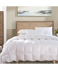 Egyptian Cotton Damask Stripe Down Comforter Lightweight, Full/Queen