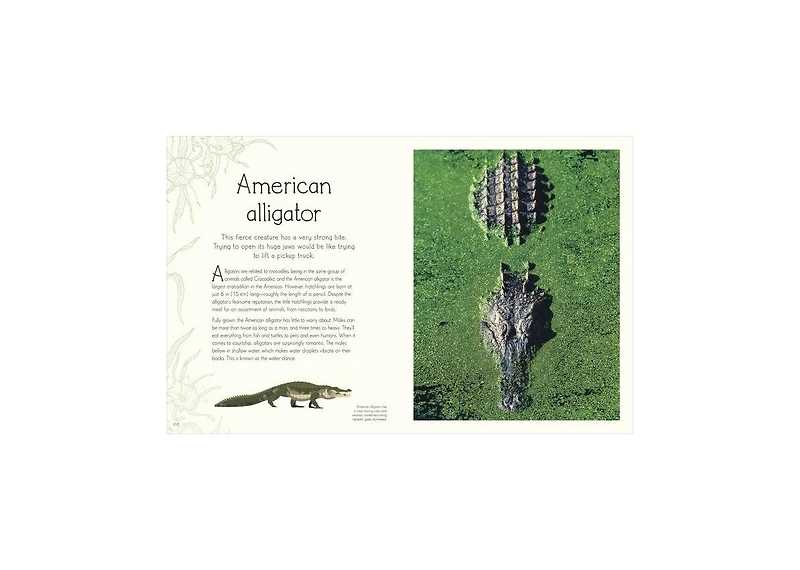 An Anthology of Aquatic Life by Sam Hume