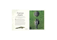 An Anthology of Aquatic Life by Sam Hume