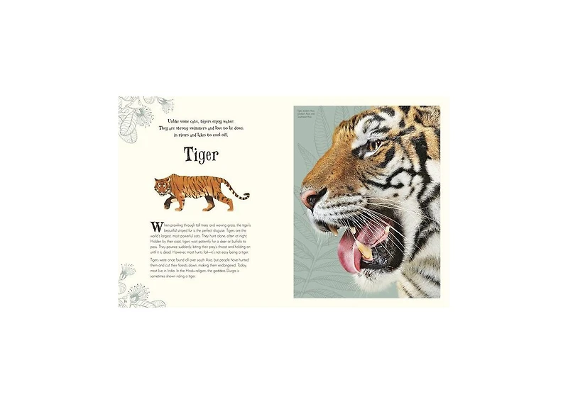 An Anthology of Intriguing Animals by Dk