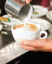 Fino 12-Ounce Frothing Pitcher with Milk Frother 16-Ounce and Dual-Sided Espresso Tamper 48 and 53-Millimeters