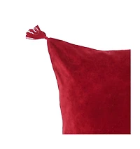River Ruby Accent Throw Pillow, 22" x w/ Tassels