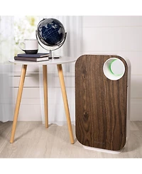 Oval Air H13 Hepa 5-in-1 Purifier, 600 sq. ft. Coverage – Reduces Allergies