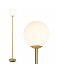 Glass Globe Led Floor Lamp w/ Acrylic Lampshade