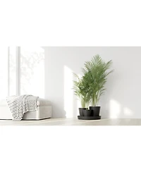 Ecopots Dubai Self Watering Planter with Wheels and Saucer, 22in