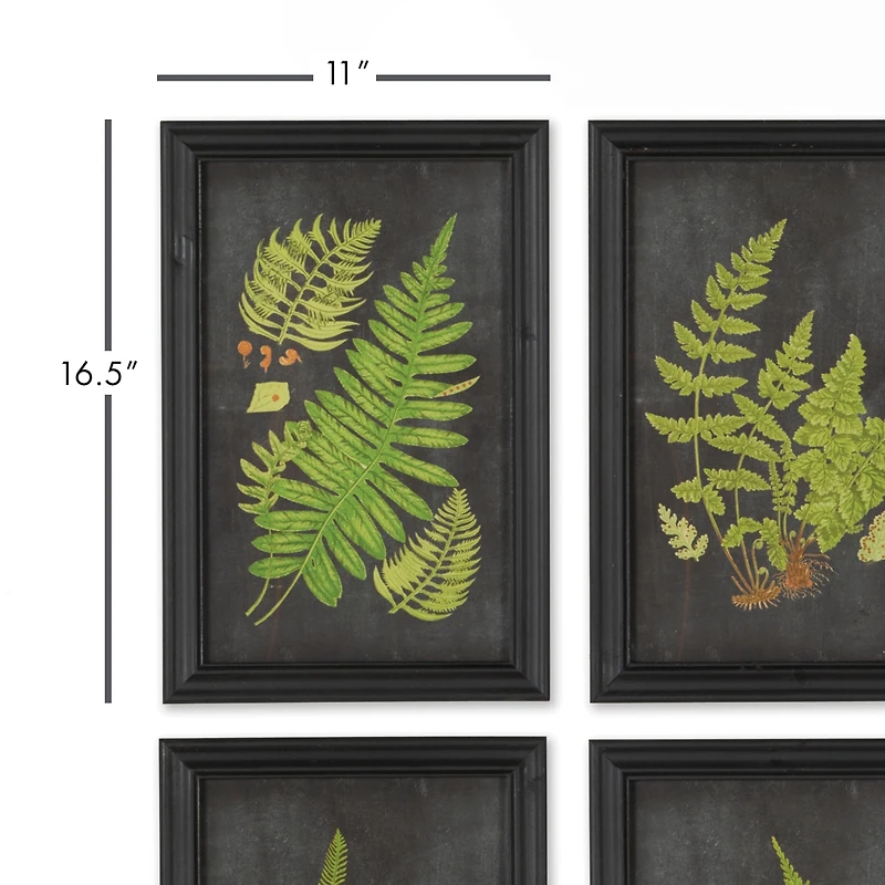 Framed Fern Botanical Prints Set of 9