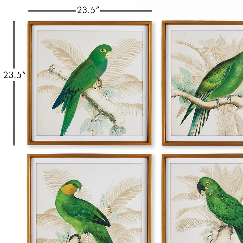 Green Parrots Study Set of 4 Wall Art