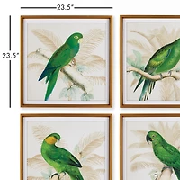 Green Parrots Study Set of 4 Wall Art