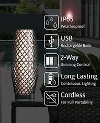 Lite Source Outdoor Cordless Baran Table Lamp