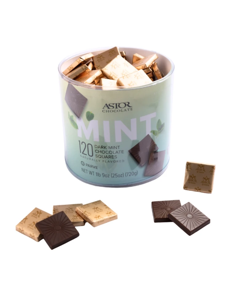 Astor Chocolate Petite Dark Mint Chocolate Squares Tub, 120 Pieces