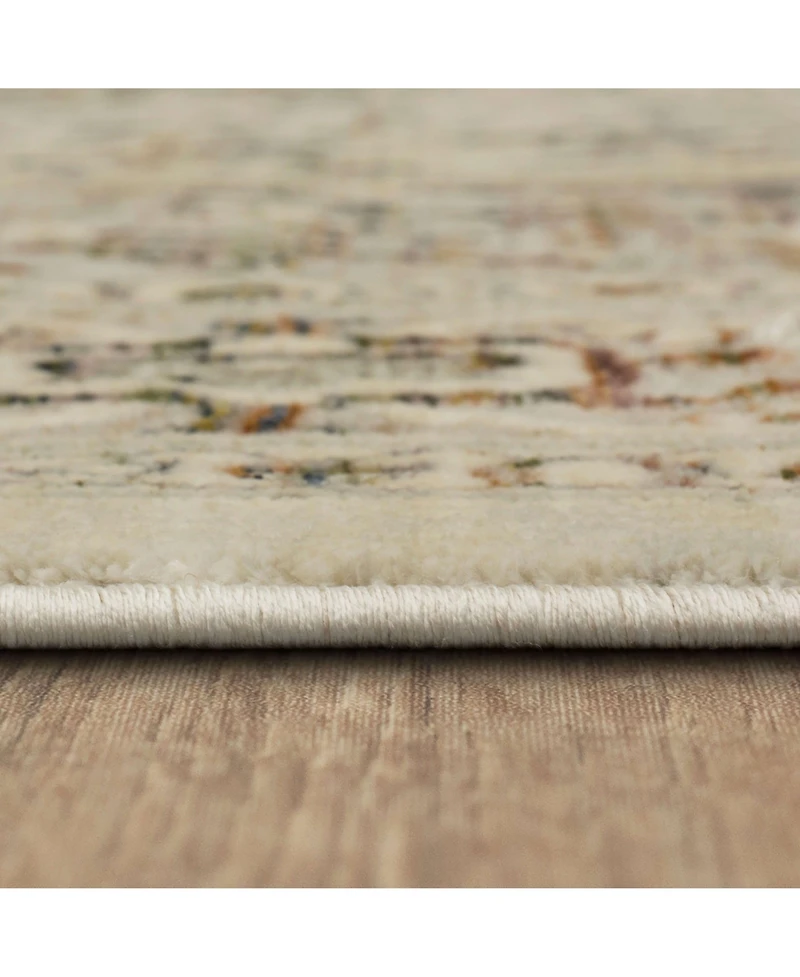 Karastan Divina Gloriana 2'6" x 7'10" Runner Area Rug