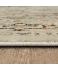 Karastan Divina Gloriana 2'6" x 7'10" Runner Area Rug