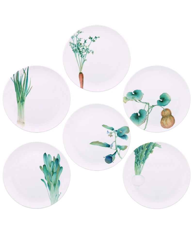 Noritake Kyoka Shunsai Assorted Salad Plates 9.5" Set/6