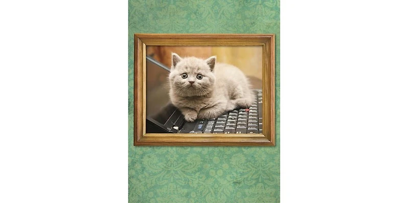 I Could Pee on This- And Other Poems by Cats Gifts for Cat Lovers, Funny Cat Books for Cat Lovers by Francesco Marciuliano