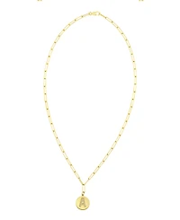 Adornia Tarnish Resistant 14K Gold Plated Pave Crystal Initial Disc Paperclip Necklace