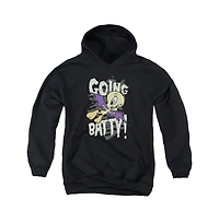 Looney Tunes Youth Going Batty Pull Over Hoodie / Hooded Sweatshirt