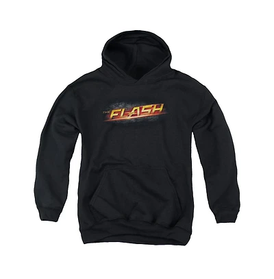 The Flash Youth Logo Pull Over Hoodie / Hooded Sweatshirt