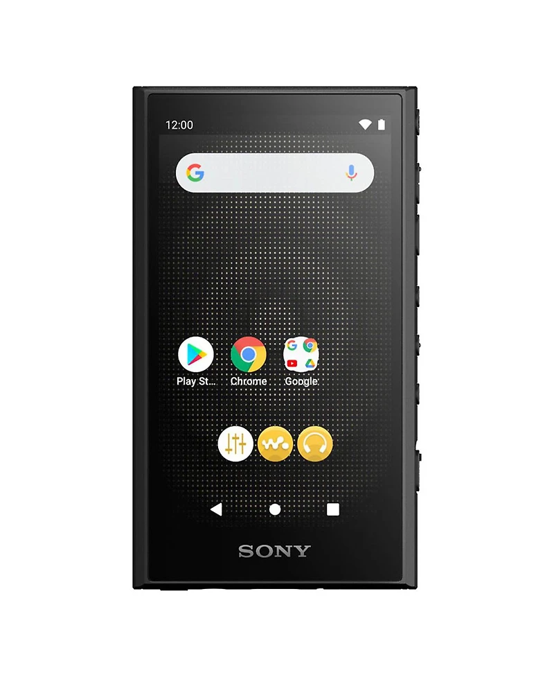 Sony Nw-A306 Walkman A Series Hi-Res Digital Music Player