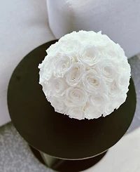 Rose Box Nyc Half Ball of Pure White Long Lasting Preserved Real Roses in Classic Ceramic Vase, 35 Roses