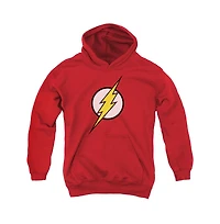 Justice League of America Youth Flash Logo Pull Over Hoodie / Hooded Sweatshirt